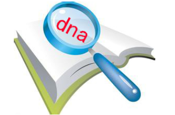 DNA鉴定（怎么样进行DNA鉴定）