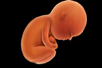 亲子鉴定机构 亲子鉴定胚胎 正规亲子鉴定机构名单出来了