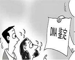 黔南匿名DNA亲子鉴定哪里能办理，黔南隐私亲子鉴定结果准确吗
