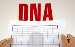 铁岭能做DNA鉴定吗（地址咨询），铁岭办理亲子鉴定流程是怎样的