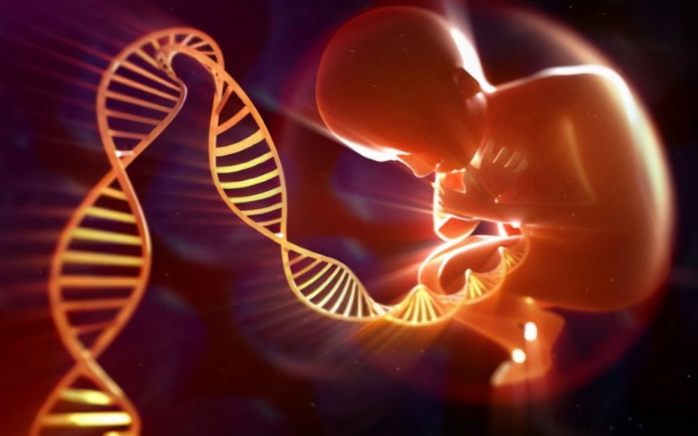 亲子DNA鉴定（防抱错，新生儿做DNA检测行不行？一大隐患，让某些产妇不敢检）