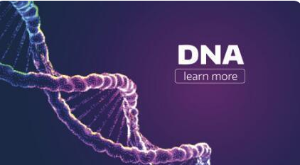 DNA亲子鉴定怎么做（做一次DNA亲子鉴定多少钱？）