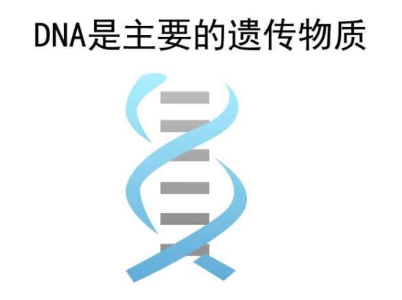 DNA亲子鉴定价格（做一次DNA亲子鉴定得多少钱？）