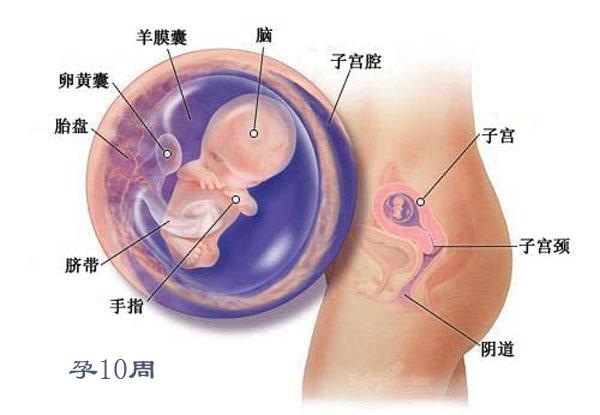 孩子怀孕期间亲子鉴定（怀孕多少周可以做亲子鉴定？）