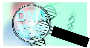 dna多少钱一次（一般基因检测费用需要多少钱，贵不贵？）
