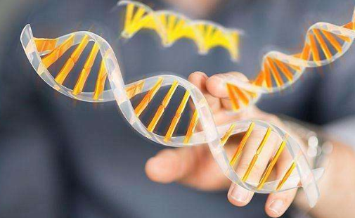 亲子DNA鉴定（做DNA亲子鉴定需要多少钱？）