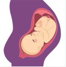 胎儿能做亲子鉴定（怀孕5个月可以做亲子鉴定吗）