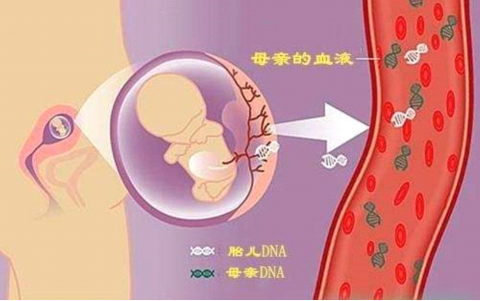 胎儿在肚子里能不能做亲子鉴定（怀孕8周可以做胎儿亲子鉴定可以做吗？）
