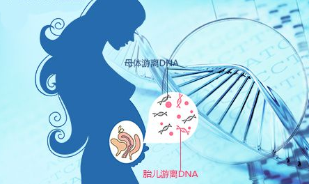 怀孕可以抽血做亲子鉴定吗（宝宝在肚子里可以做亲子鉴定吗）