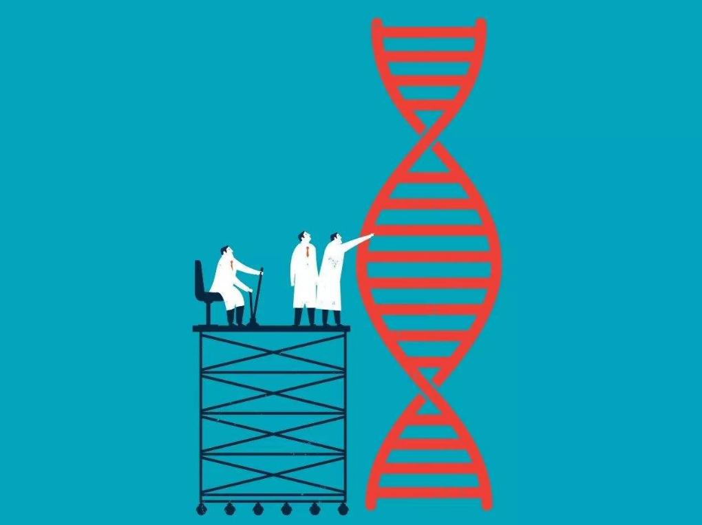 亲子鉴定（南昌大学一附医院可以做DNA亲子鉴定吗？多少钱，多久拿鉴定结果啊）