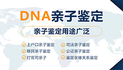 陕西妇保院能办理DNA亲子鉴定吗，陕西医院办理DNA亲子鉴定办理的条件
