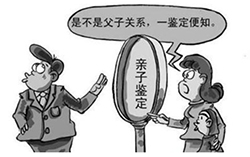 云南省亲子鉴定中心在哪里有，云南省亲子鉴定需要的条件和材料有哪些