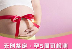通辽市怀孕亲子鉴定的流程（预约快速办理）