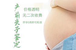 邢台胎儿亲子鉴定如何办理，邢台孕期亲子鉴定需要什么材料和流程