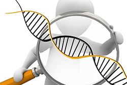 陕西能办理DNA亲子鉴定吗，陕西亲子鉴定详细流程及材料