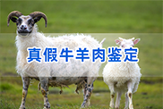 陕西羊类动物鉴定